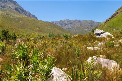 Impressionen aus dem Jonkershoek Nature Reserve